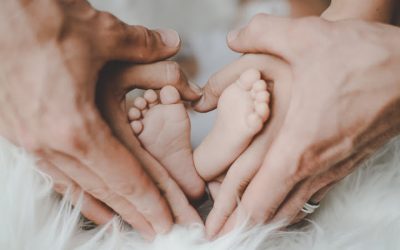 Aile Danışmanlığı
